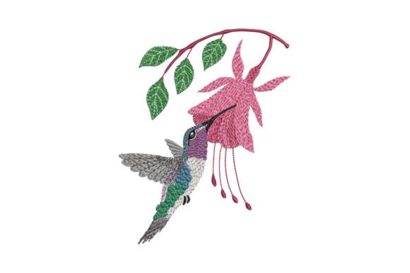 Hummingbird and Fuchsia